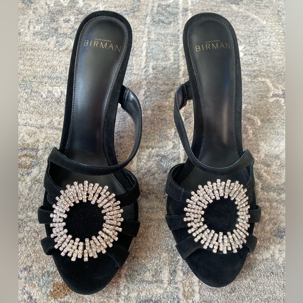 NWT Alexandre Birman Alicia
Suede Embellished Mules - Picture 12 of 15
